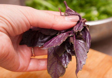 мелко нарезаю пару веточек базилика